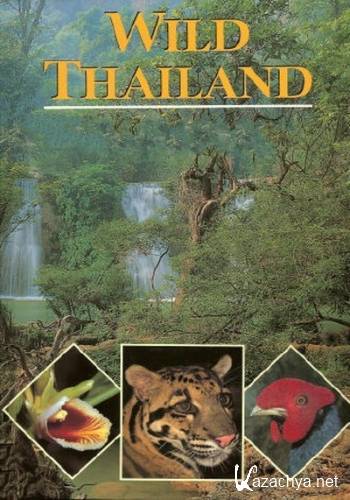    / Wild Thailand (2   2-) (2013) HDTVRip