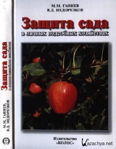 ������ ���� � ������ ��������� ����������. ���������� ��������