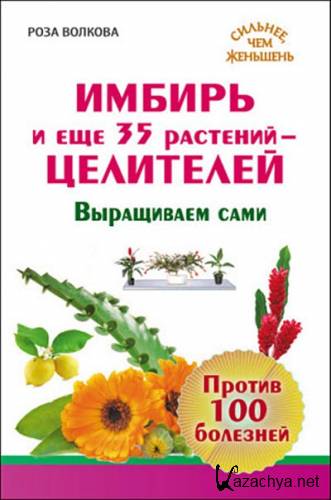 ������ � ��� 35 ��������-���������. ���������� ����. ������ 100 ��������