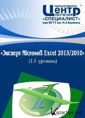 :  Microsoft Excel 2013/2010 1-5 (2013) - 