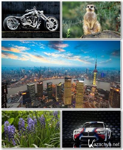 Best HD Wallpapers Pack 1325