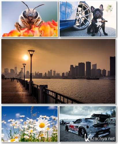 Best HD Wallpapers Pack 1328