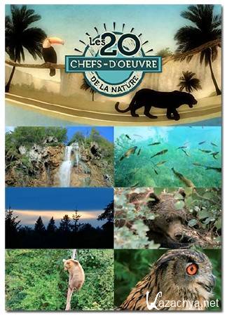 ������������ ���� "����������� ����" / Parc national de Bialowieza (2013) DVB