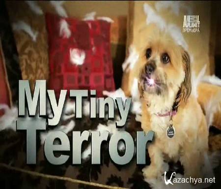   .   / My Tiny Terror (2014) SATRip