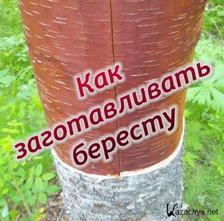 ��� ������������� ������� (2014)