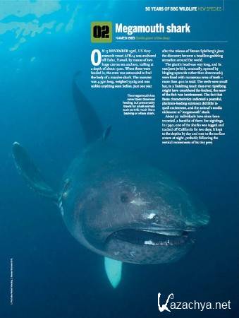 BBC:  (2   2) / BBC: Sharks (2002) DVDRip