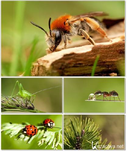 ����� ���������� ��� ��������� ���� �������� ����� 78