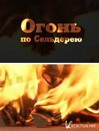 ������ ���������� ���� (2014) IPTVRip