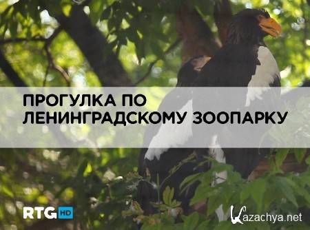 �������� �� �������������� �������� (2013) HDTV 1080i