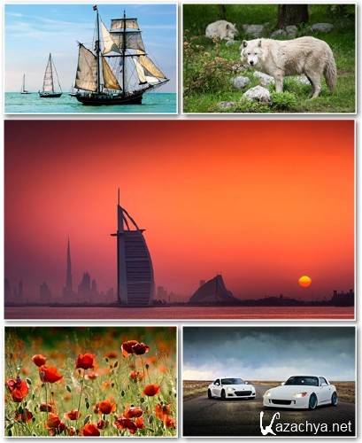 Best HD Wallpapers Pack 1341