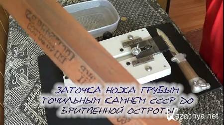 ������� ���� ������ ��������� ������ ���� �� ���������� ������� (2014)