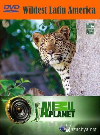 Discovery. � ������ ��������� ������� (5 ����� �� 5) / Discovery. Wildest Latin America (2012) HDTVRip