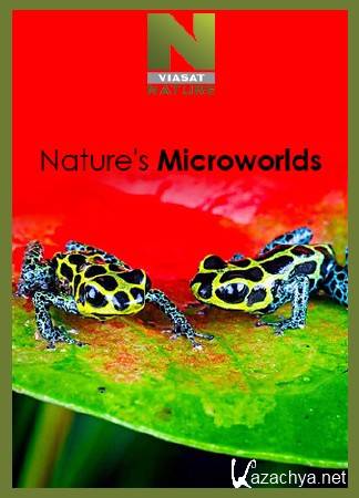     (: 1, : 1-10  10) / Nature's Microworlds (2012) IPTVRip 