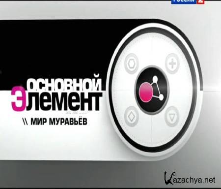 �������� �������. ��� �������� (2014) SATRip