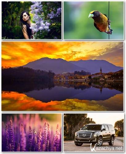 Best HD Wallpapers Pack 1347