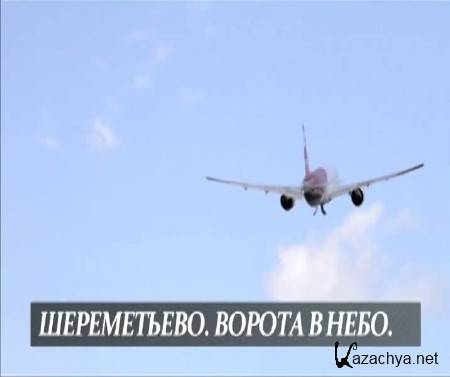 �����������. ������ � ���� (2014) SATRip