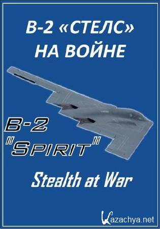 B-2 ������ �� ����� (� ��������) / B-2 Stealth at War (2013) IPTVRip
