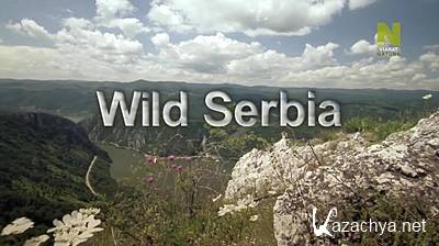 ����� ������� ������ / Wild Serbia (2011) HDTVRip