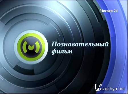 "Познавательный фильм": Мопеды и квадроциклы (2014) SATRip "Познавательный фильм": Мопеды и квадроциклы (2014) SATRip