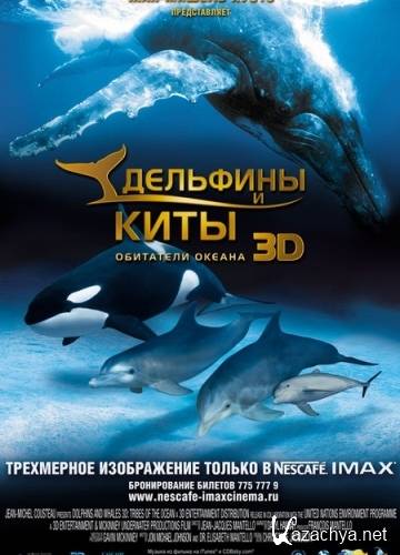    3D / Dolphins and Whales 3D: Tribes of the Ocean (2008) BDRip