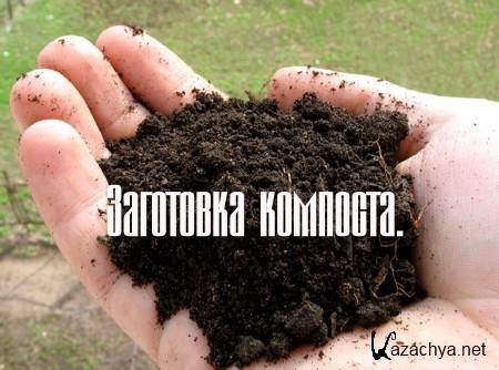 ��������� �������� (2014)