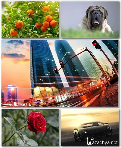 Best HD Wallpapers Pack 1353