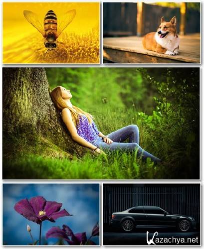 Best HD Wallpapers Pack 1354