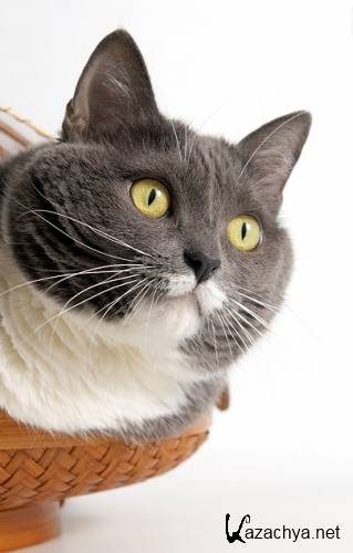 FotoShkola -    (2014)