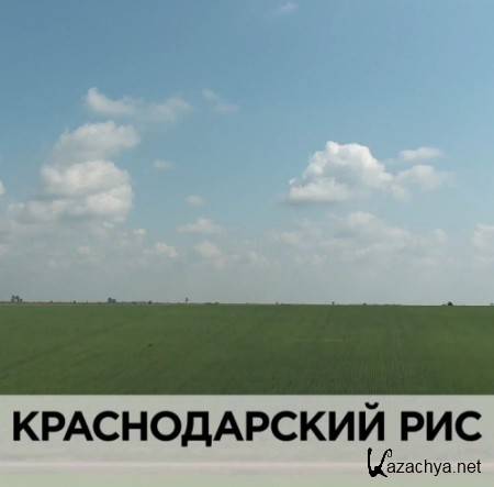   (RTGHD) (2013) HDTV 1080i