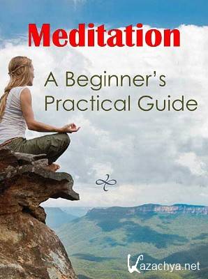 :    / A Beginner's practical guide (2013) DVDRip