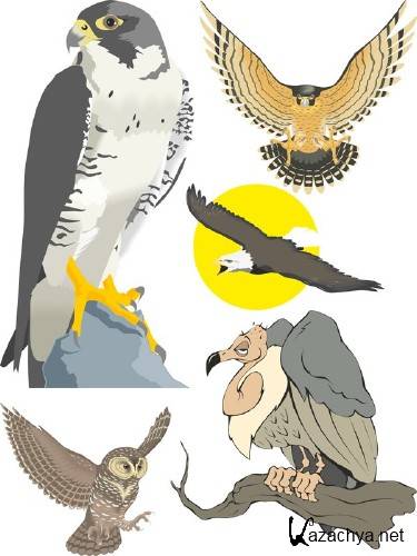 ������ ����� � ������� (����, �����, ���� � ��.)