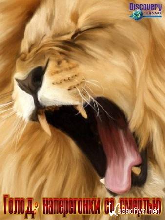 Discovery. :    / The Hunger; death Race (2012) HDTVRip