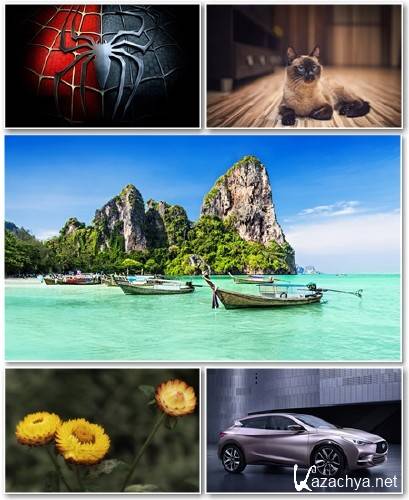 Best HD Wallpapers Pack 1365