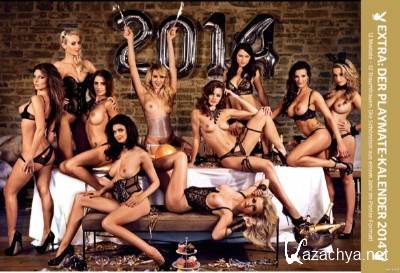 Playboy Playmate Germany Calendar 2014 (2014)