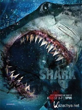 Animal Planet. : 47    / Adrift: 47 Days with Sharks (2014) IPTVRip