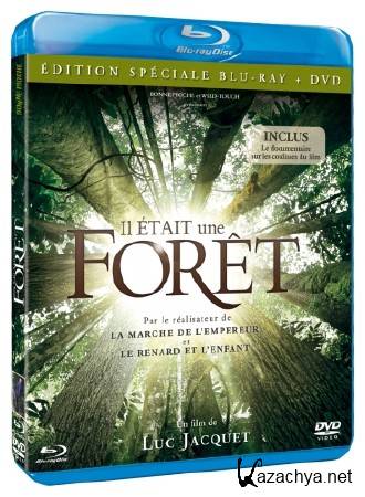    / Once in the Forest / Il etait une foret (2013)  BDRip 720p