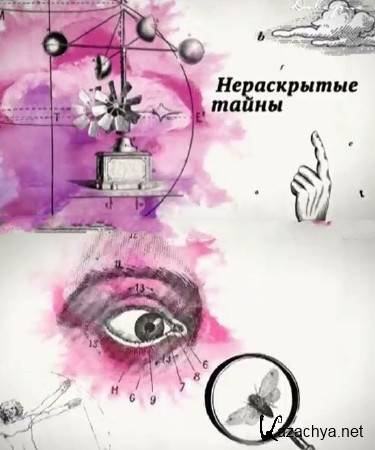 "����������� �����": ��� �������� ������ ������� (2014) SATRip