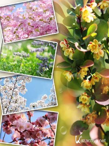 ��������: �������� ��������