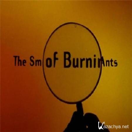    / The Smell of Burning Ants (1994) DVDRip