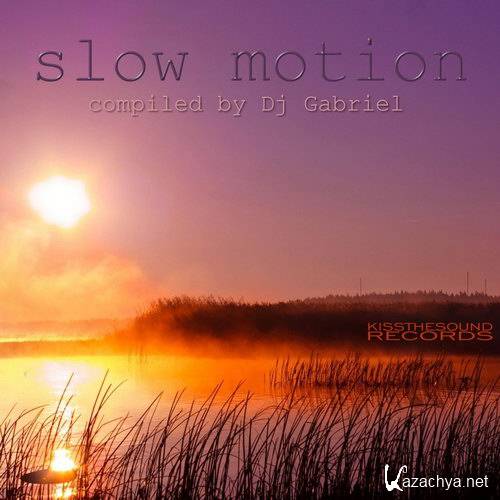 VA - Slow Motion Compiled By DJ Gabriel (2014)
