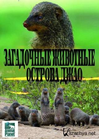 ���������� �������� ������� ���� (1-7 ����� �� 7) / The Secret Creatnres of Jao (2009) HDTVRip