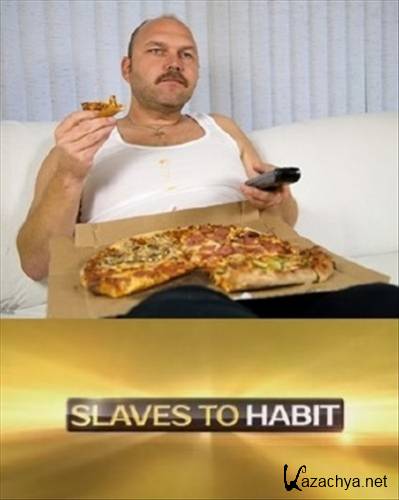    / Slaves To Habit (2014) SATRip