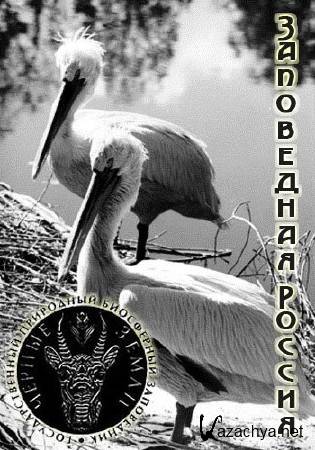  . ׸  (2011)  HDTVRip