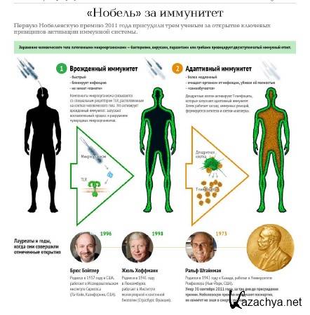 ��� ������ ��... ���������� (2014) IPTVRip