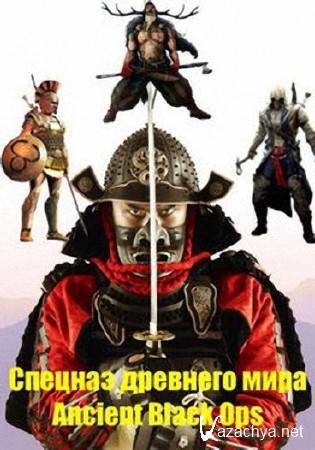 Спецназ древнего мира Викинги Берсерки / The Viking Berserkers/ Ancient Black Ops (2014) SATRip Спецназ древнего мира Викинги Берсерки / The Viking Berserkers/ Ancient Black Ops (2014) SATRip
