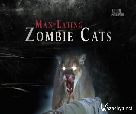  -/ Man-Eating Zombie Cats (2014) HDTVRip