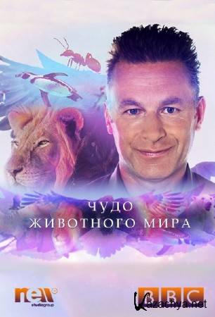 BBC. ���� ��������� ���� / Wonder of Animals / �����: 1 / �����: 1-3 �� 12 (2014) HDTVRip 720p