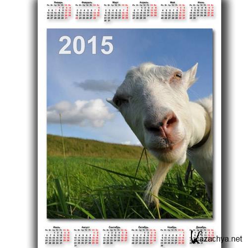 Календарь 2015 - Коза в объективе