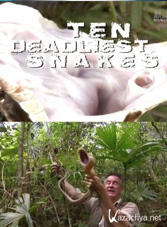 Самые опасные змеи: США / Month of monsters (2014) HDTVRip Самые опасные змеи: США / Month of monsters (2014) HDTVRip