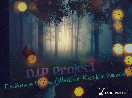D.I.P Project -   (Vladimir Koskin Remix) (New) (2014)